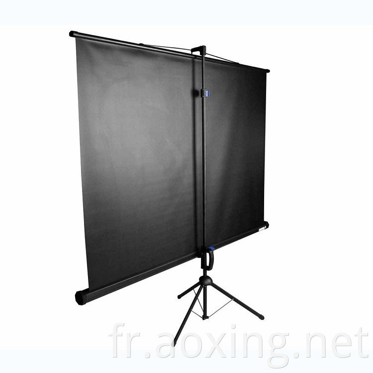 Écran de projecteur de trépied professionnel utilisé par Office / HD Manuel Portable Pull Down Projection Screen of 240 * 180cm